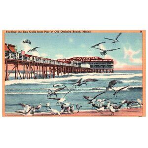 Postcard Linen Feeding the Sea Gulls from Pier at Old Orchard Beach Maine